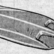 Illustration for article titled Every Fiberglass Hood Scoop In The 1975 JC Whitney Catalog!